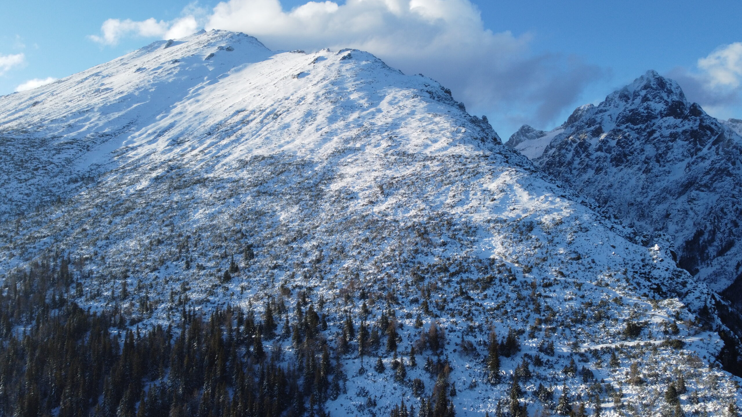 Soft Snow, Warm Hearts & A Farewell to 2025